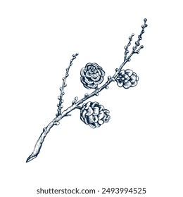 Larch wreath with cone without needles. Botanical hand drawn Isolated vector illustration. Larch twig sketch template for card design Christmas invitation, poster, holiday decor. Engraving style