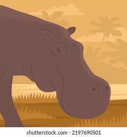 Large adult hippo. Head close up. Wild and dangerous aquatic animal of Africa. Herbivorous mammal. Big animal on the river bank. Wild landscape. Flat vector color illustration