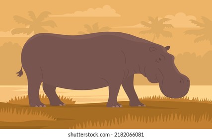 Large adult hippo. Wild and dangerous aquatic animal of Africa. Herbivorous mammal. Big animal on the river bank. Wild landscape. Flat vector color illustration