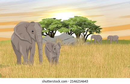 Grandes elefantes africanos de Bush y elefantes bebés en la sabana africana con árboles de acacia. Manada de elefantes. animales salvajes de áfrica. Paisaje vectorial realista