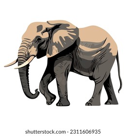 Large African elephant standing isolated