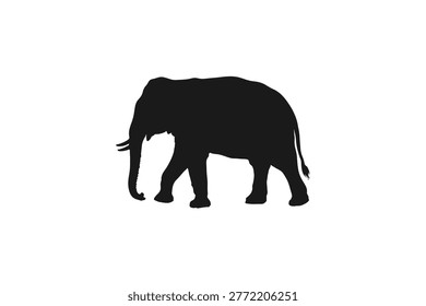 Large African Elephant Walking Side View Profile
