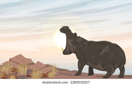 A large African hippopotamus stands on a rocky shore of a lake. Hippo yawns or growls. Wildlife of Africa with tall dry grass, lakes and mountains. Realistic vector landscape