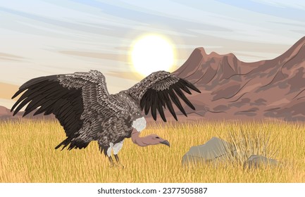 A large African vulture sits in the dry grass of the African savannah at the foot of the mountains. Wild birds. Realistic vector landscape