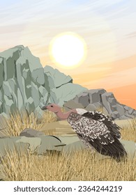 A large African vulture sits on a rock in the savannah at the foot of the mountains. Dawn in Africa. Wild carrion birds. Realistic vertical vector landscape