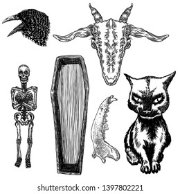 Large alchemy symbol elements set. Birds raven crow, evil goat, coffin with human skeleton, wolf or dog jaw bone, black cat. Spiritual occultism chemistry, magic tattoo sketch. Hand drawing Vector.