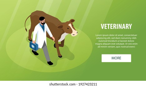 Large animals livestock veterinary horizontal isometric web banner with veterinarian visiting grazing cow patient background vector illustration 