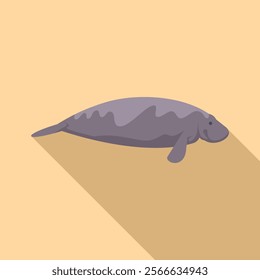 Large aquatic mammal manatee swimming in shallow water