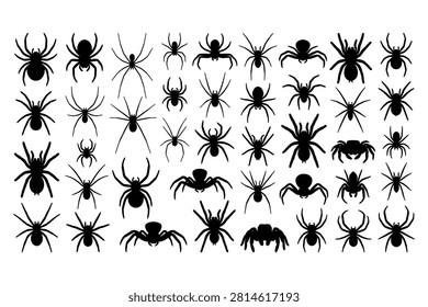 A large assortment of black spider vector illustrations, perfect for spooky season, Halloween graphics, and creepy crawly themed designs.