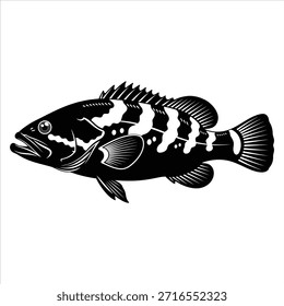 Large Atlantic goliath grouper isolated on white. Powerful predatory marine fish known for its size and distinctive body patterns, vector art.