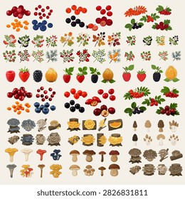 Large autumn forest clipart bundle featuring hand-drawn wild berries, rowan, rose hips, sea buckthorn, cranberries, blueberries, mushrooms, woodland plants and botanical elements. High-quality PNG clipart with transparent background for autumn invitations, scrapbooking, stickers, planners, sublimation, branding, printable projects and seasonal designs.