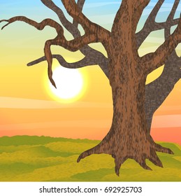 A large autumn tree without leaves on a green meadow. The sky with the sun and clouds at dawn or sunset. Vector landscape can be used in newsletter, brochures, postcards, banner.