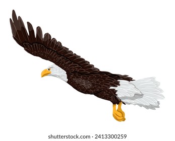 A large bald eagle flies. Realistic vector animal