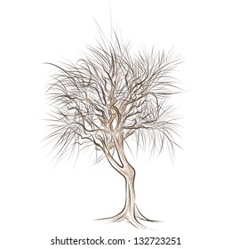 large bare tree without leaves - hand drawn