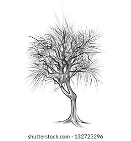 large bare tree without leaves - hand drawn