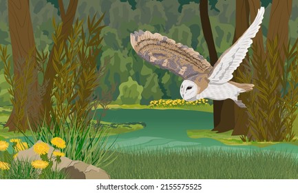 A large barn owl flies over a large green forest swamp in a dark dense forest. wild birds of the forest. Realistic vector landscape