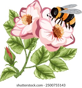 Eine große Biene auf einer Blume.Vektorgrafik mit einer hellen Biene auf einem Blumenstrauß.