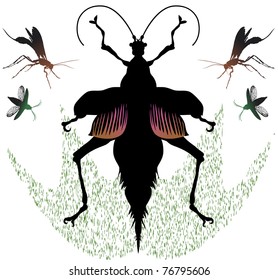 Large beetle with wings and long legs.