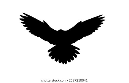 large bird black siluet on a white background birds,