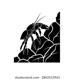 Large black cockroach with antennae standing