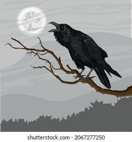 A large black crow, Corvus corax, sits on a tree branch. Spruce forest and cloudy night sky on the horizon. Realistic vector landscape