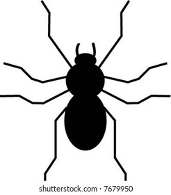 Large black scary spider