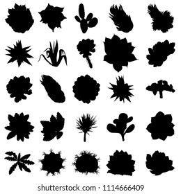 Large Black silhouettes Wild cactus set. Hand drawn prickly cacti. Terrarium cactus collection. Wild floral exotic tropical. Vector.