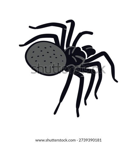 Large black spider with a distinctive gray abdomen and dark spots, perfect for wildlife or nature-themed projects
