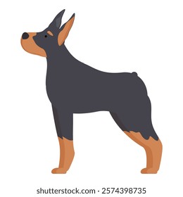 Large black and tan doberman pinscher standing alert and paying attention