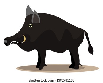 Ein großes schwarzes Wildschwein mit scharfen Hörnern, die wild aussehen, um Vektorfarbzeichnung oder -grafik anzugreifen