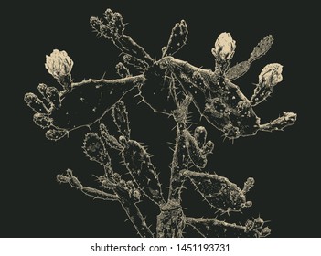 Large blooming cactus. Gravure style. Light shape on a dark background. Vector illustration.