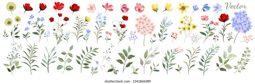 Large Botanical set of wild flowers: flowers, twigs, leaves, herbs and other elements. Vector design.
