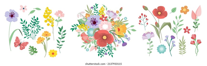Large Botanical set of wild flowers: flowers, twigs, leaves, herbs and other elements. Vector design