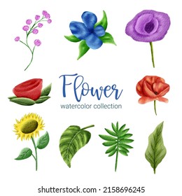 Large Botanical set of wild flowers. Set of Separate parts and bring together to beautiful bouquet of flowers in water colors style on white background, flat vector illustration