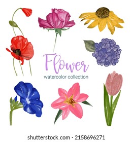 Gran conjunto botánico de flores silvestres. Conjunto de partes separadas y juntar a un hermoso ramo de flores en color agua estilo sobre fondo blanco, ilustración vectorial plana