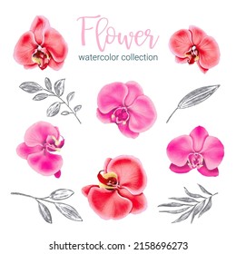 Gran conjunto botánico de flores silvestres. Conjunto de partes separadas y juntar a un hermoso ramo de flores en color agua estilo sobre fondo blanco, ilustración vectorial plana