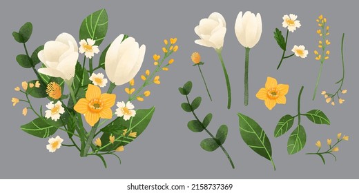 Large Botanical set of wild flowers. Set of Separate parts and bring together to beautiful bouquet of flowers in water colors style on white background, flat vector illustration