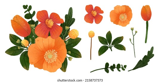 Large Botanical set of wild flowers. Set of Separate parts and bring together to beautiful bouquet of flowers in water colors style on white background, flat vector illustration
