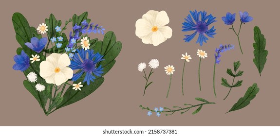 Large Botanical set of wild flowers. Set of Separate parts and bring together to beautiful bouquet of flowers in water colors style on white background, flat vector illustration