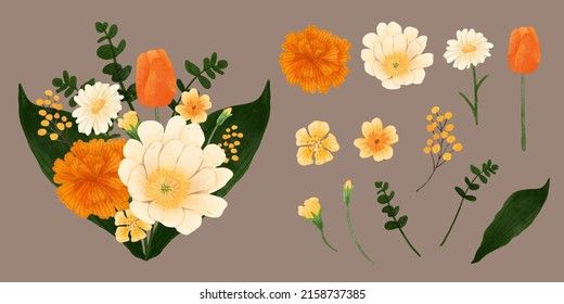 Large Botanical set of wild flowers. Set of Separate parts and bring together to beautiful bouquet of flowers in water colors style on white background, flat vector illustration