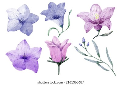 Gran conjunto botánico de flores silvestres. Conjunto de partes separadas y juntar a un hermoso ramo de flores en color agua estilo sobre fondo blanco, ilustración vectorial plana