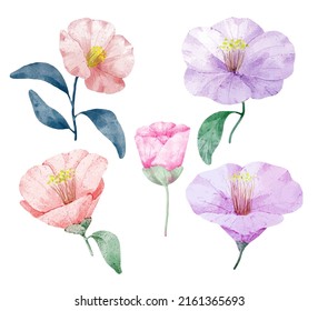 Gran conjunto botánico de flores silvestres. Conjunto de partes separadas y juntar a un hermoso ramo de flores en color agua estilo sobre fondo blanco, ilustración vectorial plana