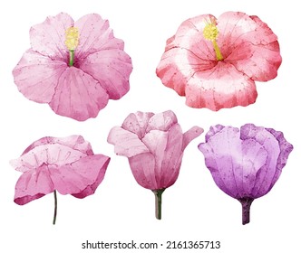 Grosser botanischer Blumenbestand. Set von getrennten Teilen und bringen Sie zu einem schönen Blumenstrauß in Aquarellfarben auf weißem Hintergrund, flache Vektorgrafik