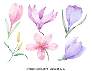 Large Botanical set of wild flowers. Set of Separate parts and bring together to beautiful bouquet of flowers in water colors style on white background, flat vector illustration