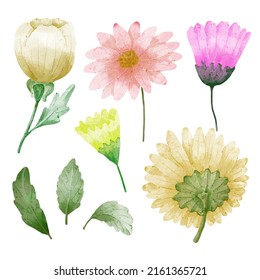 Large Botanical set of wild flowers. Set of Separate parts and bring together to beautiful bouquet of flowers in water colors style on white background, flat vector illustration
