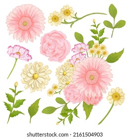 Large Botanical set of wild flowers. Set of Separate parts and bring together to beautiful bouquet of flowers in water colors style on white background, flat vector illustration