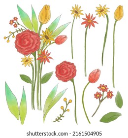 Large Botanical set of wild flowers. Set of Separate parts and bring together to beautiful bouquet of flowers in water colors style on white background, flat vector illustration