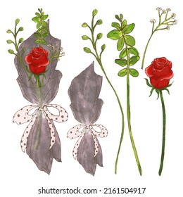 Large Botanical set of wild flowers. Set of Separate parts and bring together to beautiful bouquet of flowers in water colors style on white background, flat vector illustration