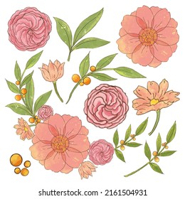 Large Botanical set of wild flowers. Set of Separate parts and bring together to beautiful bouquet of flowers in water colors style on white background, flat vector illustration