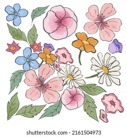 Large Botanical set of wild flowers. Set of Separate parts and bring together to beautiful bouquet of flowers in water colors style on white background, flat vector illustration